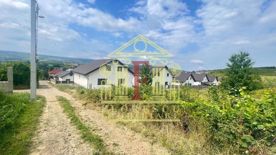 Teren intravilan  Tomesti!