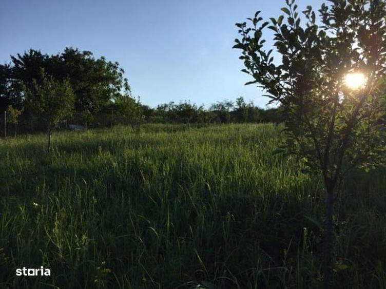 Teren Intravilan Podgoria - 7