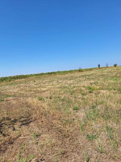 Vand teren extravilan in com. Suseni( la 15 km de Pitesti) - 2