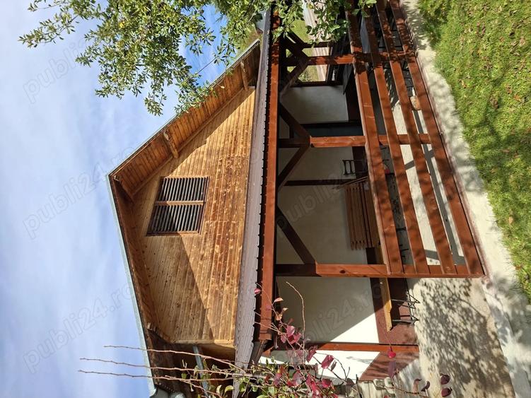 Vand casa Cerasu - 7