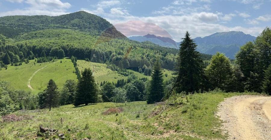 Teren 6000 mp, Vama Buzaului - vedere catre Ciuca? - 15