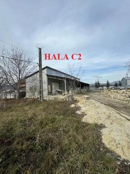 Hala 223 mp cu teren 600 mp, inchiriere/vanzare, Comanesti, jud. Bacau - 14