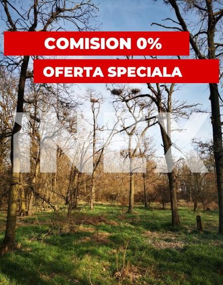 Padure stejar 20 ha de vanzare - Zona plana langa Autostrada Pitesti Padure stejar 20 ha de vanzare - Zona plana langa Autostrada Pitesti
