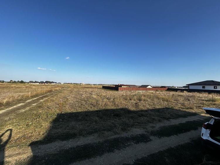 Teren intravilan Berceni - Vidra / curent si gaze la poarta - 6