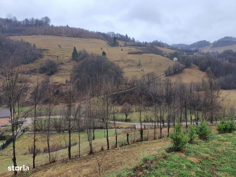 Teren Poiana Marului pretabil investitie 5 euro/mp - 9