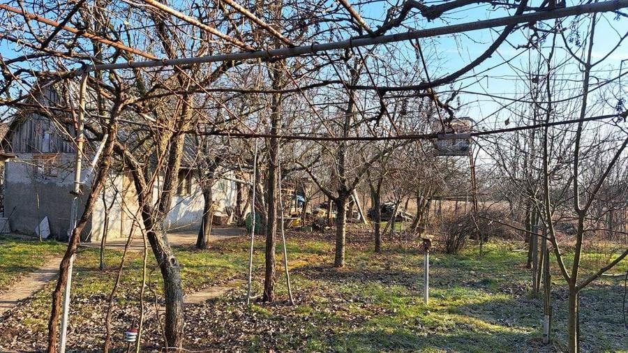 De vanzare loc de casa Sat Niuved, Comuna Tamaseu - 4