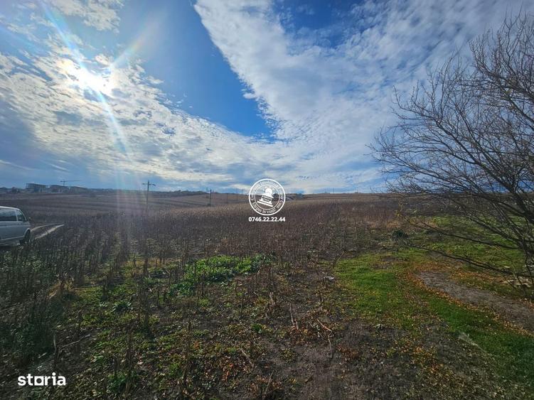 Teren de Vanzare Valea Lupului - 2