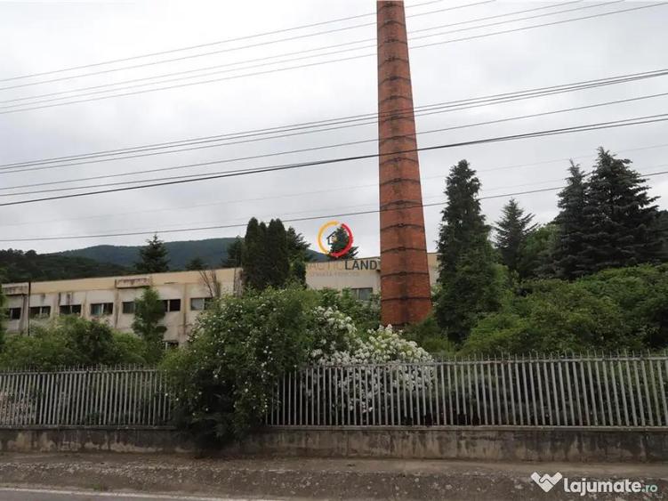 Oportunitate de investitie - 7