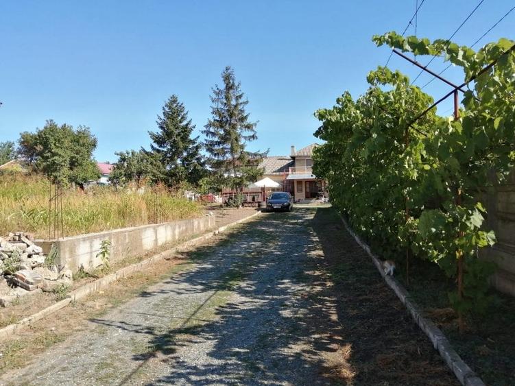 Teren 3500 mp Str Delfinului Foarte Aproape De Lacul Sutghiol - 7