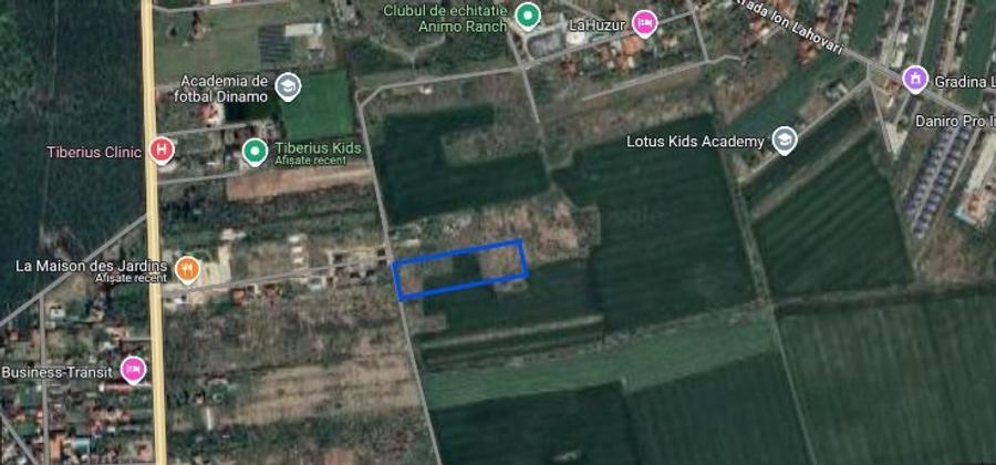 Balotesti - Saftica teren 5444 mp - 2