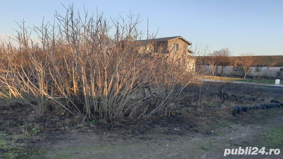 Teren intravilan cumpana proprietar zona in plina dezvoltare - 1