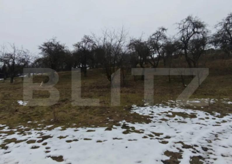 Teren intravilan in Mihai Viteazu, langa Turda, 2 parcele d - 3