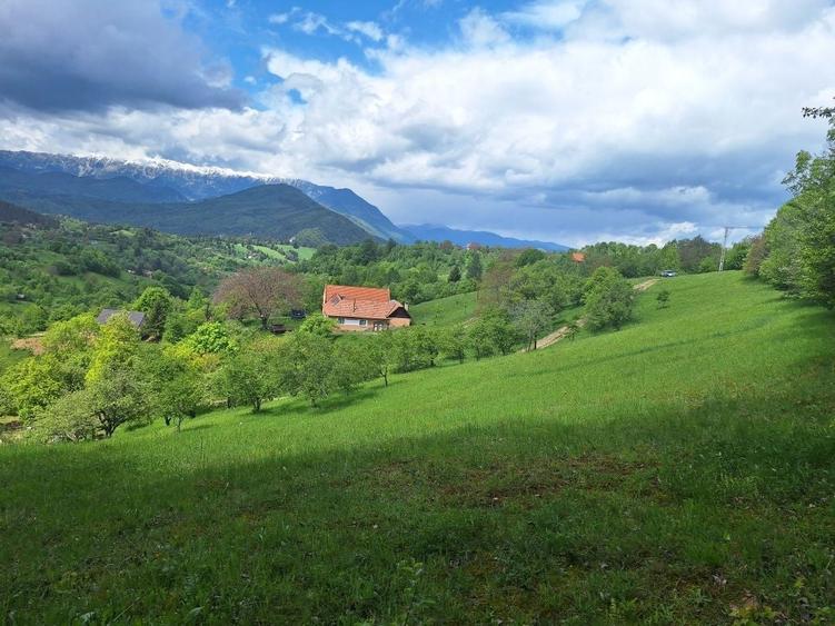 Vand teren in Bran-Sohodol - 2