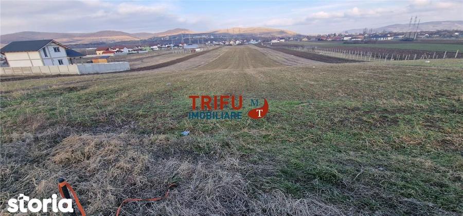 Teren de vanzare Zona Barabant! - 4