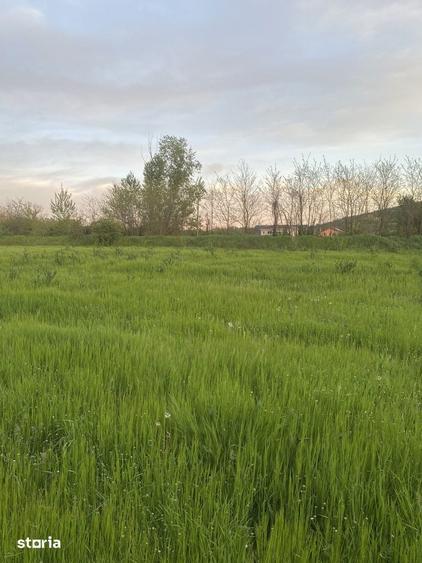 Teren -parcelabil Terenul se parceleaza- Leamna de Jos 2750 mp - 4