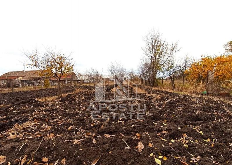 Teren 1000mp Cu Utilitati Dudesti Noi - 9