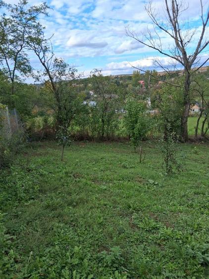 Teren de vanzare - 2