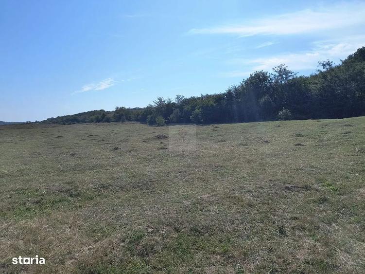 Închiriez teren intravilan - 3