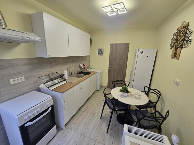 3 camere Iancului - Ferdinand-Dimitrov - 6