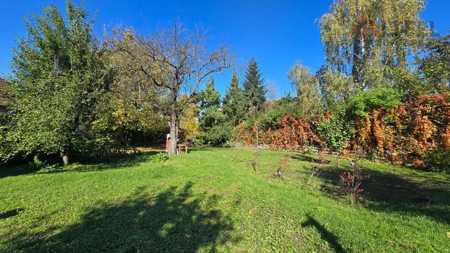 COMISION 0! Casa individuala cu 925 mp teren de vanzare in Piata Cluj - 4