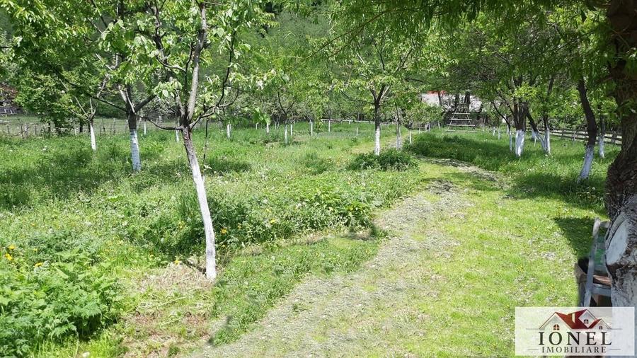 Vanzare teren 4544 mp in Almasu Mare - 3