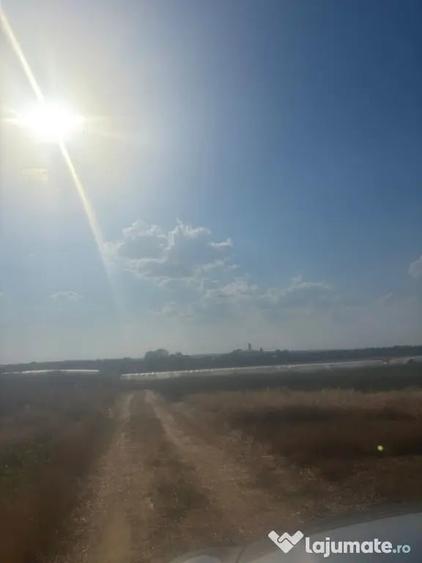 Teren de 500 mp, în Malu Mare