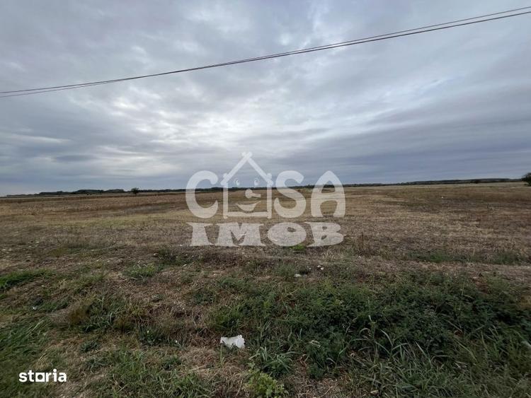 Teren de 1100 mp, în Mogoșani
