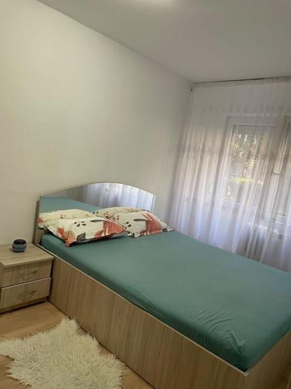 Apartament cu 2 camere în Nufărul