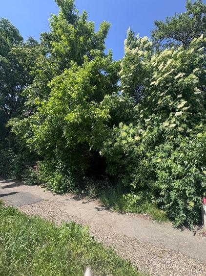 Teren Construcții intravilan de 4200 mp, în Est