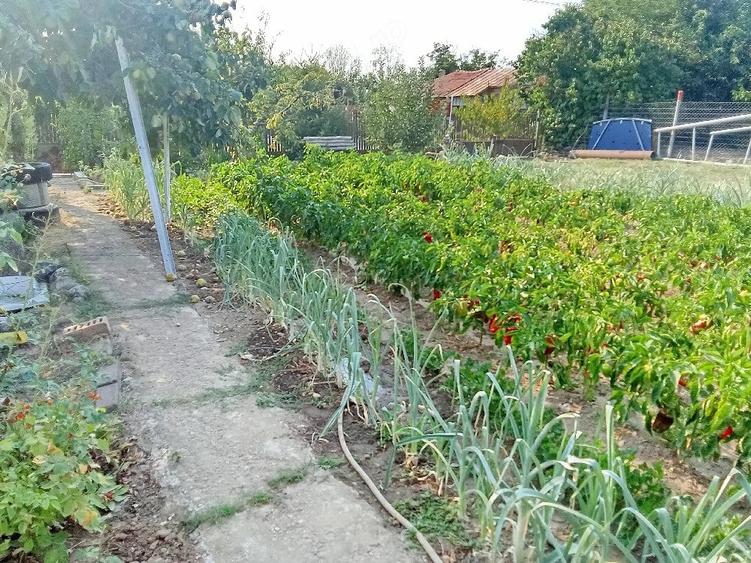 Teren de 2000 mp, în Puțu Greci