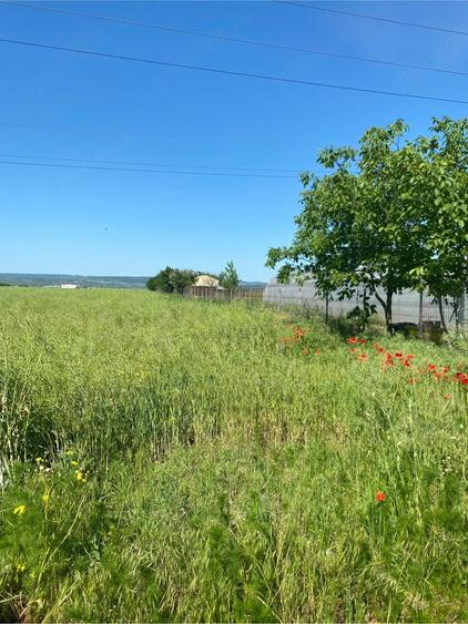 Teren de 10000 mp, în Nord