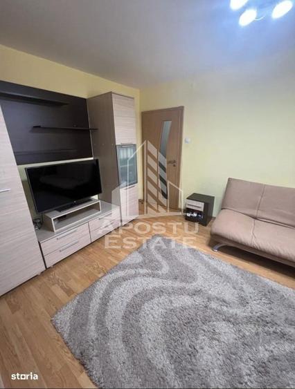 Apartament de inchiriat 2 camere, AC, zona Sagului, Timisoara, Timis - 10