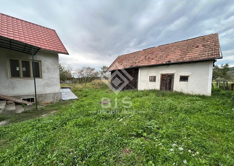 Casa de vanzare in localitatea Sintereag - 8