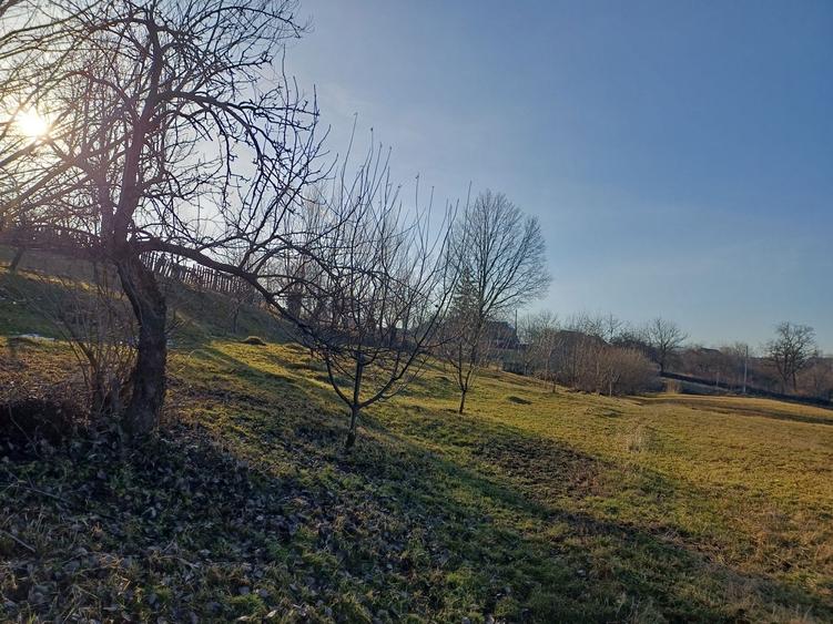 Proprietate 7400 mp, Mazanaesti(Suceava),casa renovata partial - 5