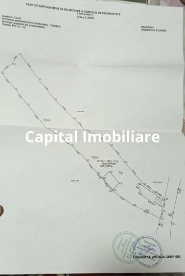 Casa cu utilita?i, teren 3040mp,Ceanu Mic, fara comision !! - 7