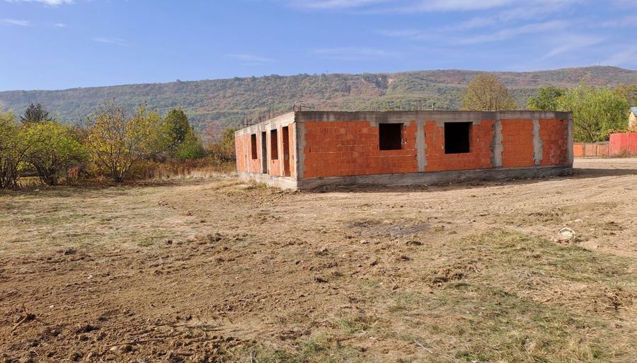 Vand casa in Cernatesti - 2