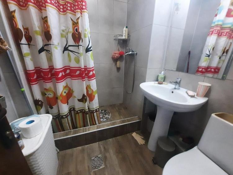 VANZARE 2 CAM SEBASTIAN -KAULAND - 7