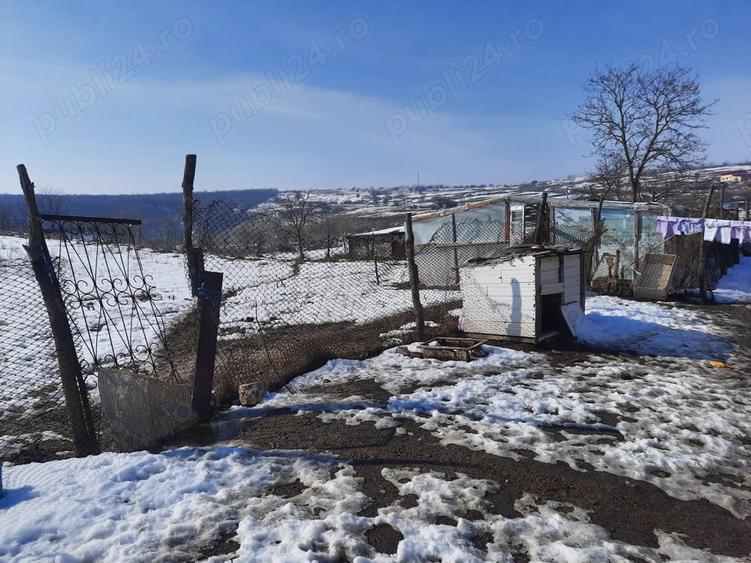 Casa de vanzare in satul ABRUD comuna ADAMCLISI - 5