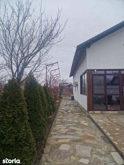 Casa Maracineni P+M ! - 15