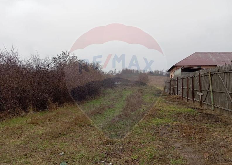 Teren de vanzare in Pielesti - 2