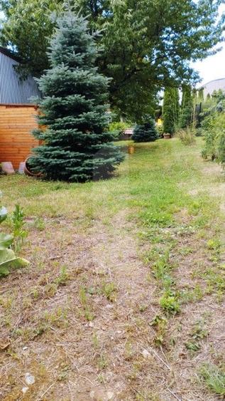 Oportunitate! Casa 300 mp utili, 1000 mp teren, zona Sapte Strazi! - 10