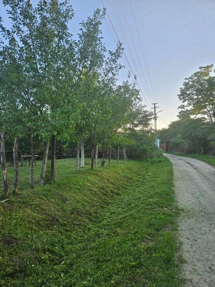 Vand teren intravilan, 950mp in sat Topircea jud. Sibiu - 2