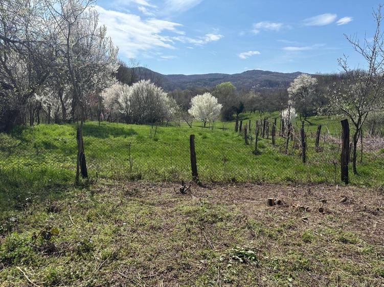 Teren Intravilan Pausesti-Maglasi, jud. Valcea - 5