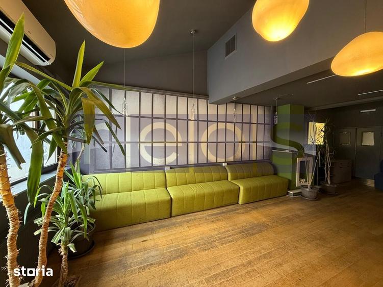OPORTUNITATE VANZARE VILA RESTAURANT | GRADINA ICOANEI | - 16