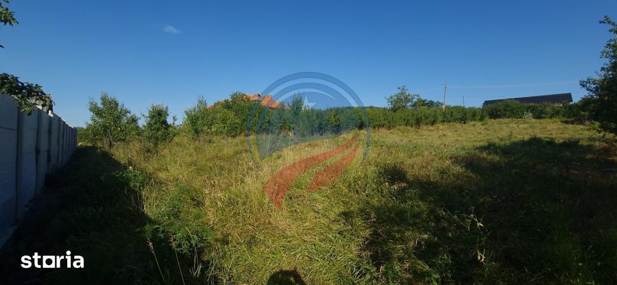 Teren 8 227 mp + Casa demolabila de vanzare in Filiasi - Fratostita - 9