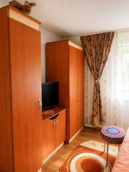 Casa complet renovata + anexa locuibila + livada, Macesu de Jos (Dolj) - 8