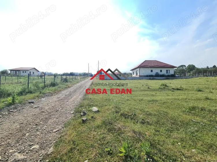 Teren intravilan in Campina, 7500mp--35e - 4