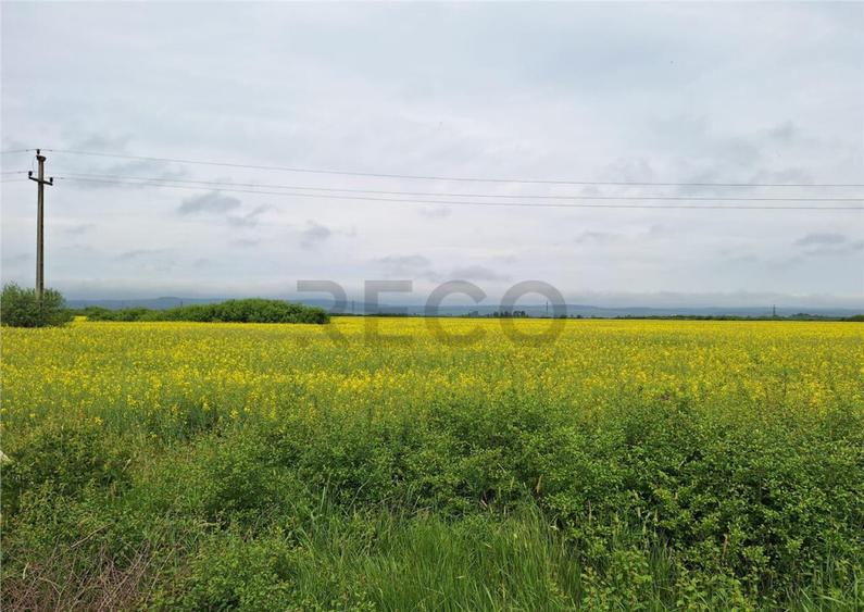 Reco, teren intravila la E60 sacadat - 1