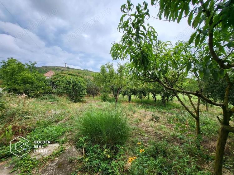 Casa cu D+P+E, 3500 mp teren, zona centrala, Paulis - 19