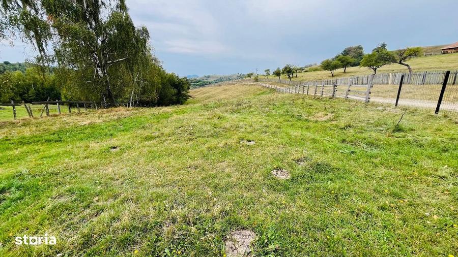 Teren De Vanzare In Zona Purcareti, Jud. Alba. 17800 Mp. - 6